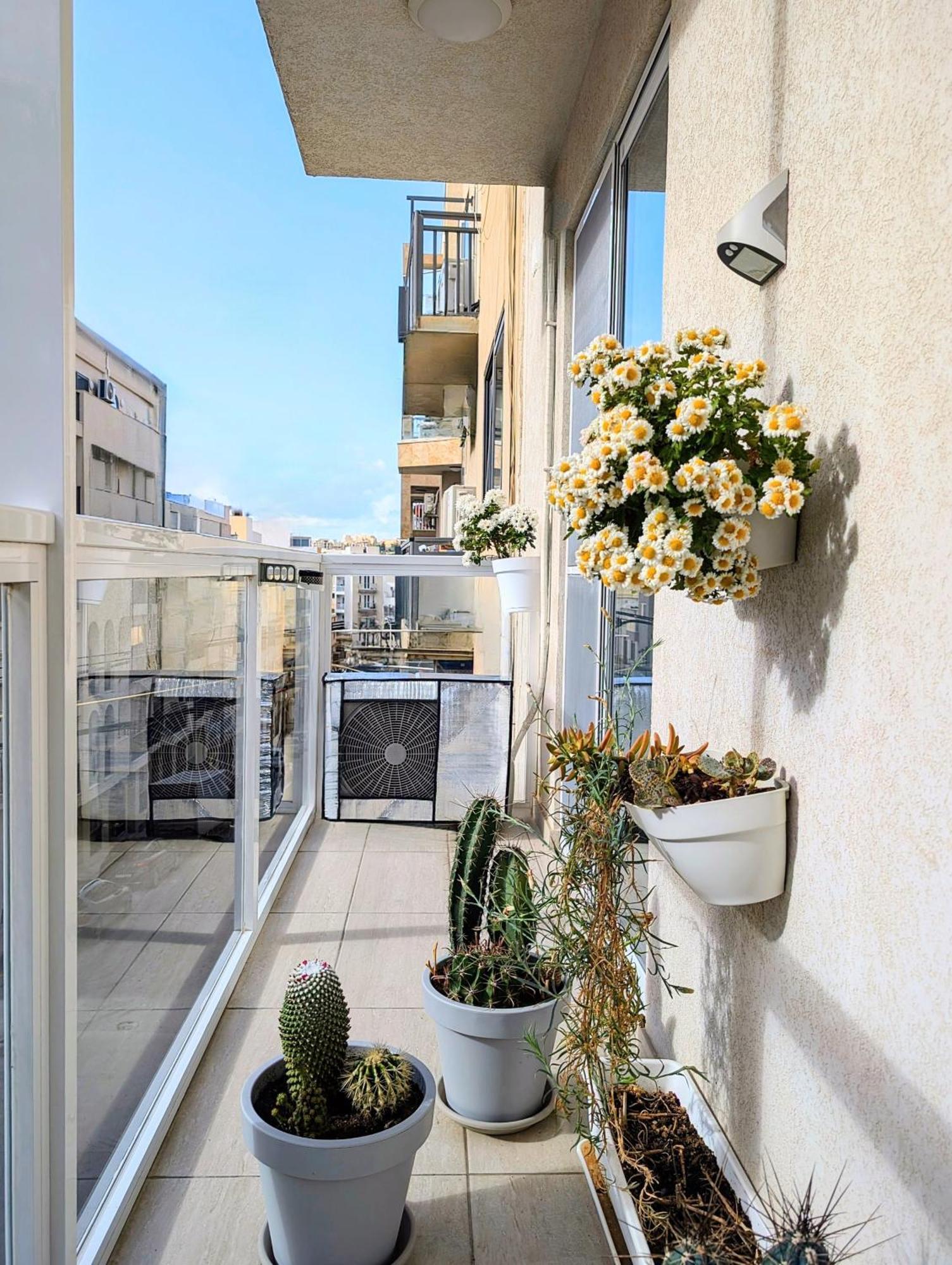 Central- Private En-Suite With Balcony In Shared Residence Pietà المظهر الخارجي الصورة